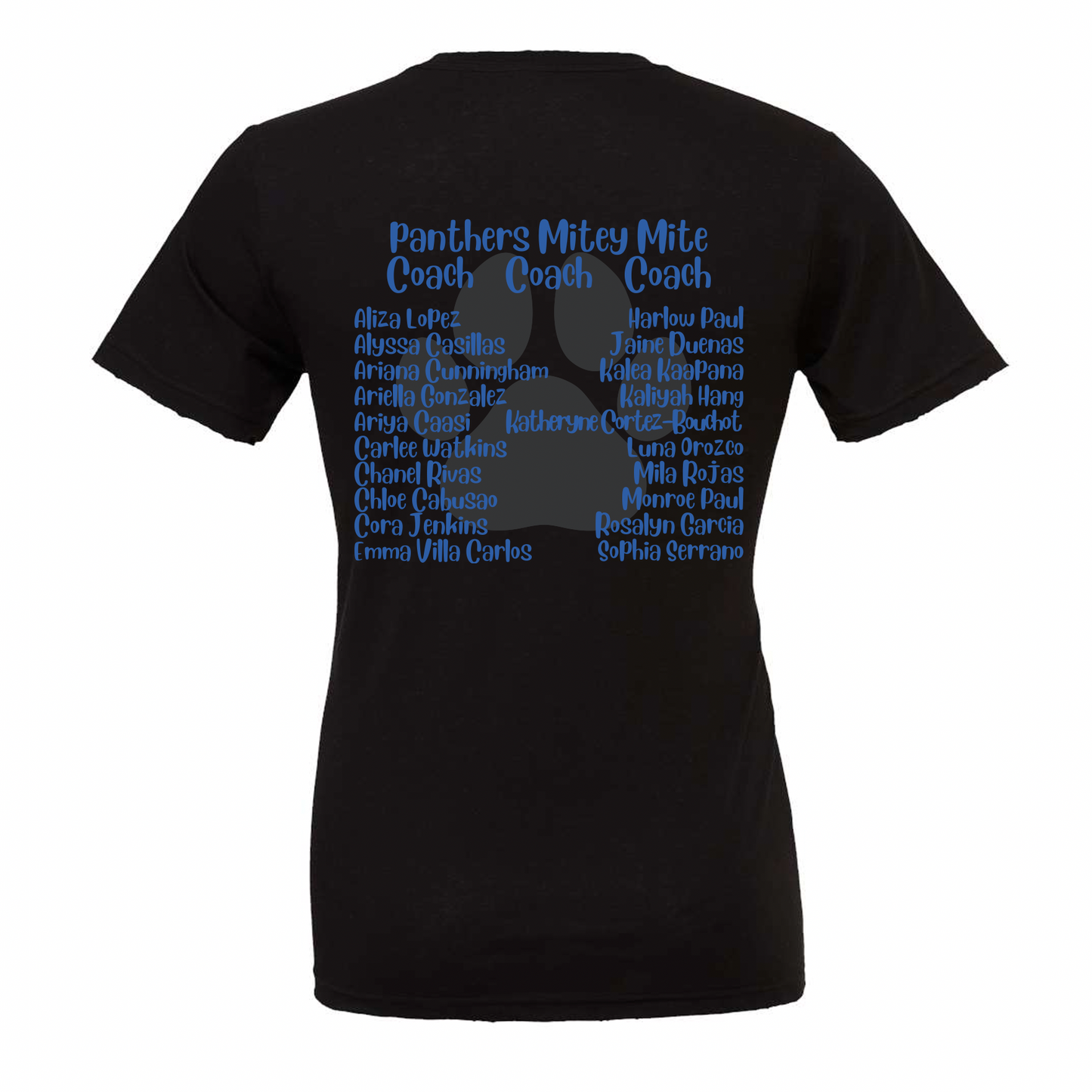 2025 Roster - Youth Tee, Crew and Hoodie