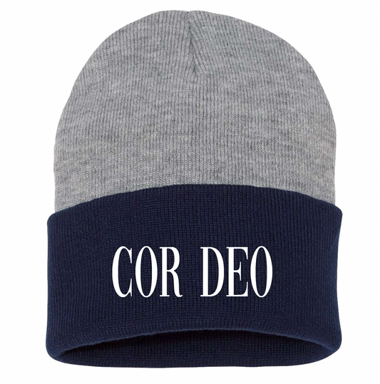 Cor Deo Knit Beanie - Navy/Grey
